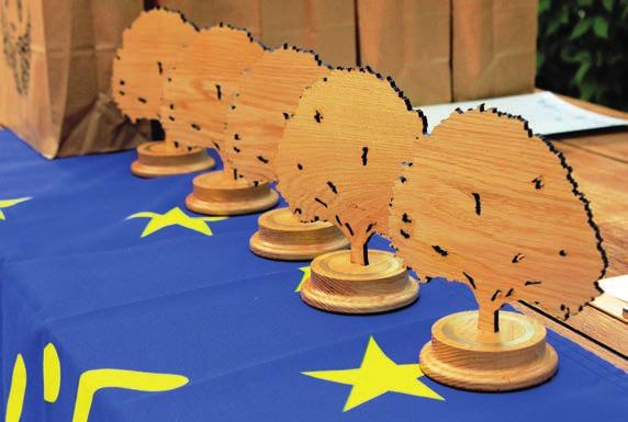 Az sorozat epizódjai a következő témákat járják körül: Az erdőgazdálkodás A Natura 2000 A folyamatos erdőborítás Az erdei élőhelyek Lehet-e a Natura 2000 területeken erdőgazdálkodni?