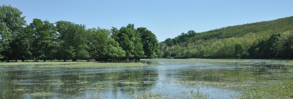 Natura 2000 fenntartási tervek I. Natura 2000 fenntartási terv II.