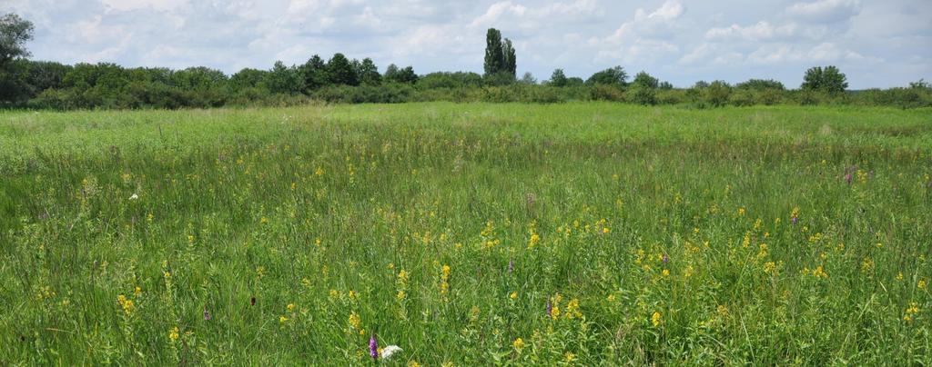 II. A Natura 2000 fenntartási terv készítését megalapozó dokumentáció 1.