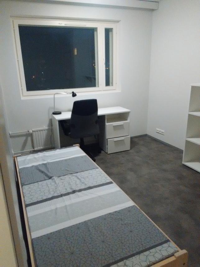 Az apartamanok 2 illetve 3 szobásak- én 2 orosz lánnyal osztoztam egy 3 szobáson. Havi 296 euróba került- amibe benne volt a bútorbérlés is- ágy matraccal, asztal, szék, polcok és nagy szekrény.