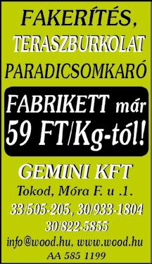 TEMETKEZÉS SÍRKŐ VIRÁG 2085