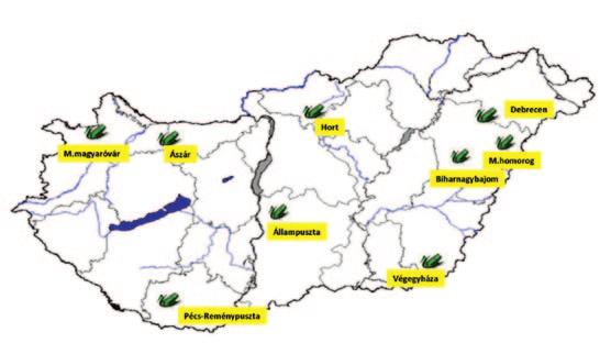 Linz-től a Carrera. Az 5. ábra a hibridenkénti olajtartalmakat mutatja be csökkenő sorrendben.