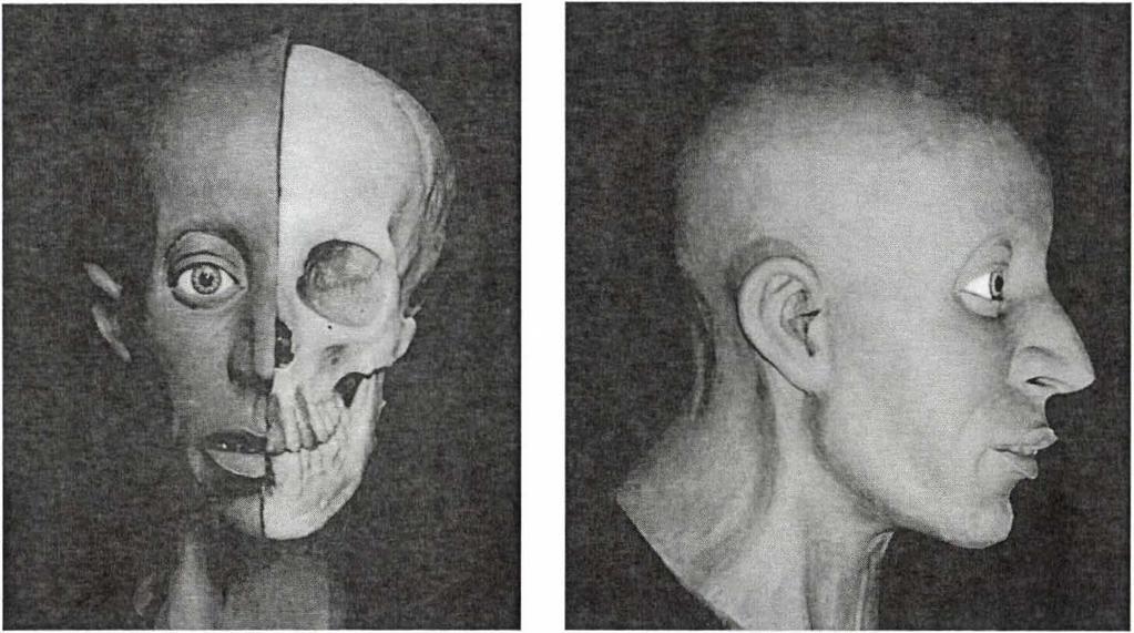 7. ábra: Tauber Antónia félig kész arcrekonstrukciója. Figure 7; The half-finished facial reconstruction of Antonia Tauber. 8. ábra: Tauber Antónia elkészült arcrekonstrukciója.