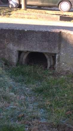 areas