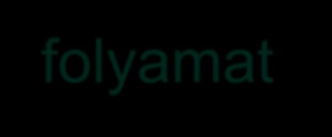 Information server A teljes