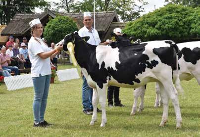 EGYESÜLETI ÉLET A Holstein-fríz fajta díjai