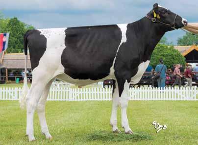 Geo-Milk Kft.