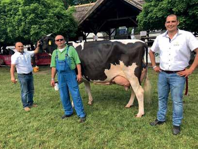 tehene tenyésztőjének, a PÁLHALMAI AGROSPECIÁL KFT. csapatának!