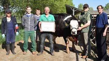 Negyedikes korában megbicsaklani látszott a lendület, standard laktációja 10.634 kg-ról 8570 kg-ra esett viszsza. Tehenünk viszont mintha ebből erőt merített volna, ötödikesként már 13.