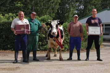 684 kg átlagos termelése is szép eredmény, a 14.083 kg-os maximális pedig a legkiválóbbak közé tartozik a telepen. Három üsző borja közül egyik sem tudta szülője teljesítményét megközelíteni.
