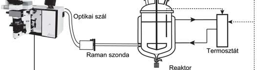 megjelenését azonosítottuk (3. ábra). 3.