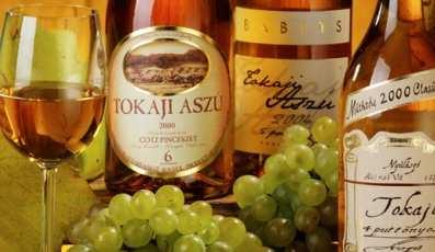 Bor Tokaji Aszú Botrytis cinerea szeptember eleji rövid esős időszakot követő napos meleg időjárás hatására egyes borvidékeken (Tokaj, Rajna-Mosel) kedvező folyamat játszódik