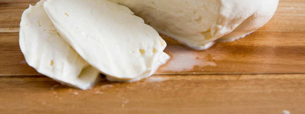 camembert brie