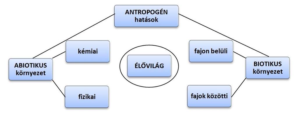 3.3.1. BIOTIKUS KÖRNYEZETI TÉNYEZŐK A biotikus tényezők a populációk kölcsönhatásai egymás közötti kapcsolatai (fajon belüliek és fajok közöttiek) folyamán kialakuló hatásokat jelentik.