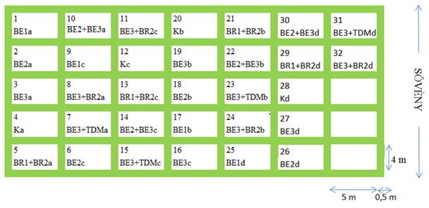 idő alatt kéthetente összesen négy alkalommal került sor.