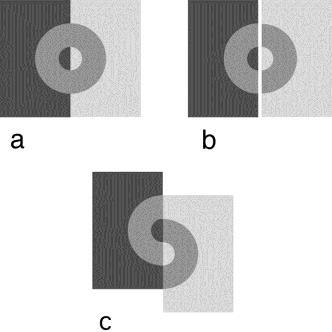edu/persci/gaz/gaz-teaching/ Knill-Kersten hatás A baloldali négyzet sötétebbnek tűnik b-n.