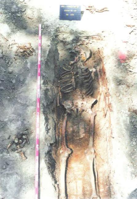 rüli hidegben kellett dolgozni. 115 A Hóman Bálint szüleinek földi maradványaiból vett csontminták alapján végzett DNS vizsgálatok elvégzése után Susa Éva 2001.