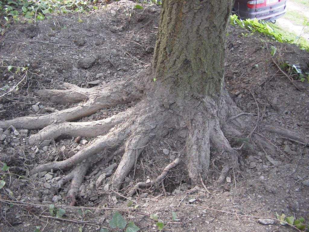 58