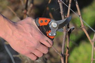 Ergonomikus metszőollók Kevesebb fáradtság és fájdalom a munkanap végén és hosszabb hasznos élettartam. E A vágófej függőleges dőlése révén a csukló csavarodása megszűnik, ezáltal csökken az ún.