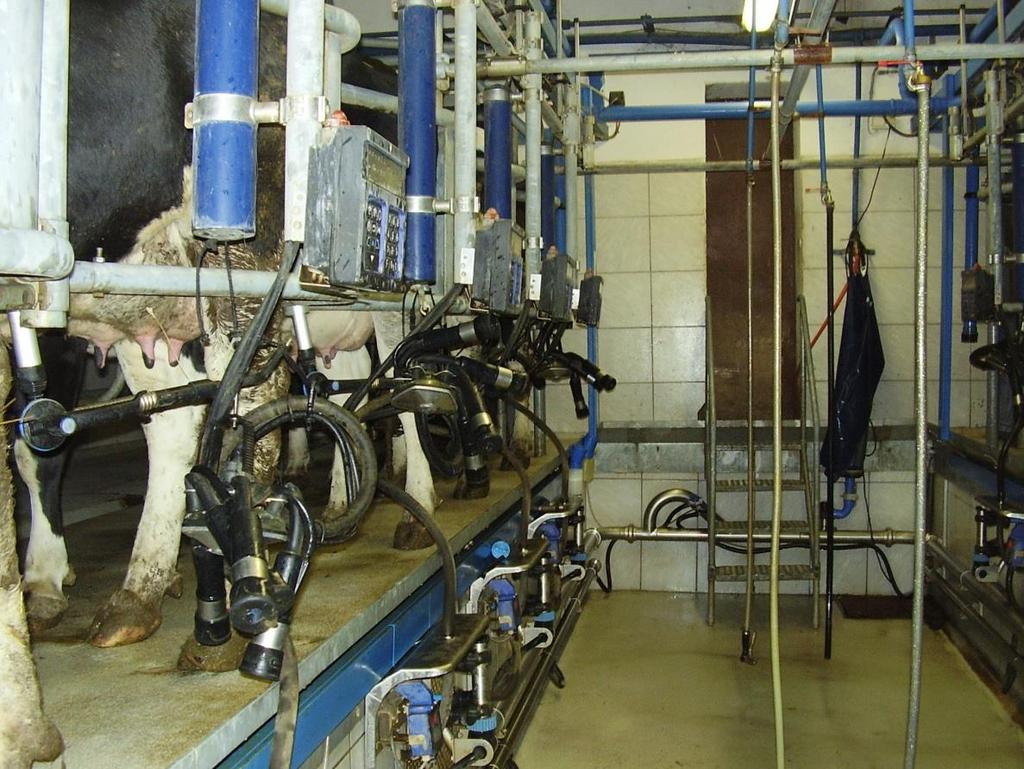 3.2. A vizsgálatokban szereplő állatok és az adatgyűjtés módszere 3.2.1.