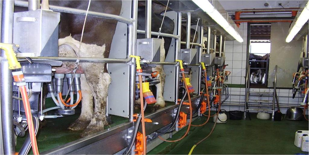 A holstein-fríz tenyészetekben minden vizsgálati napon, fejésenként gyűjtöttem össze az alkalmazott telepirányítási rendszerből a tejmennyiség és az átlagos fejési sebesség adatait tehenenként.