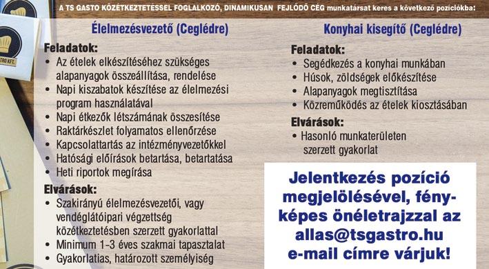 Az egyetem és a főiskola mellett az OKJ is idetartozik. Középfokú végzettség Felsőfokú végzettség esetén a középfokút csak akkor kell megemlíteni, amennyiben indokolt.