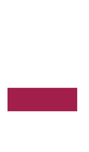 adminisztrátor Elvárások: Active directory, Linux és Windows szerver és Network monitoring ismeret