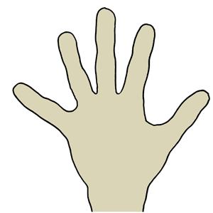 PROJECT DELIVERABLE Grant Agreement number: 224216 Project acronym: HANDS Project title: Helping Autism-diagnosed teenagers Navigate and Develop Socially Funding Scheme: Collaborative Project