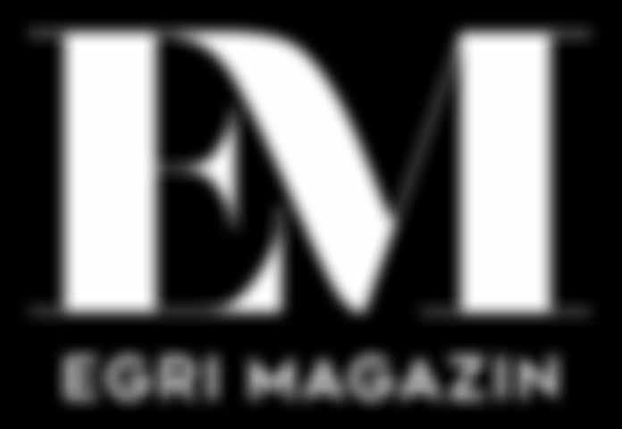 ÉVF. 5. SZÁM / 2018.