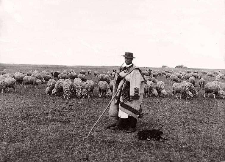 Évszám: 1908, Magyarország Hortobágy juhász - Magyar