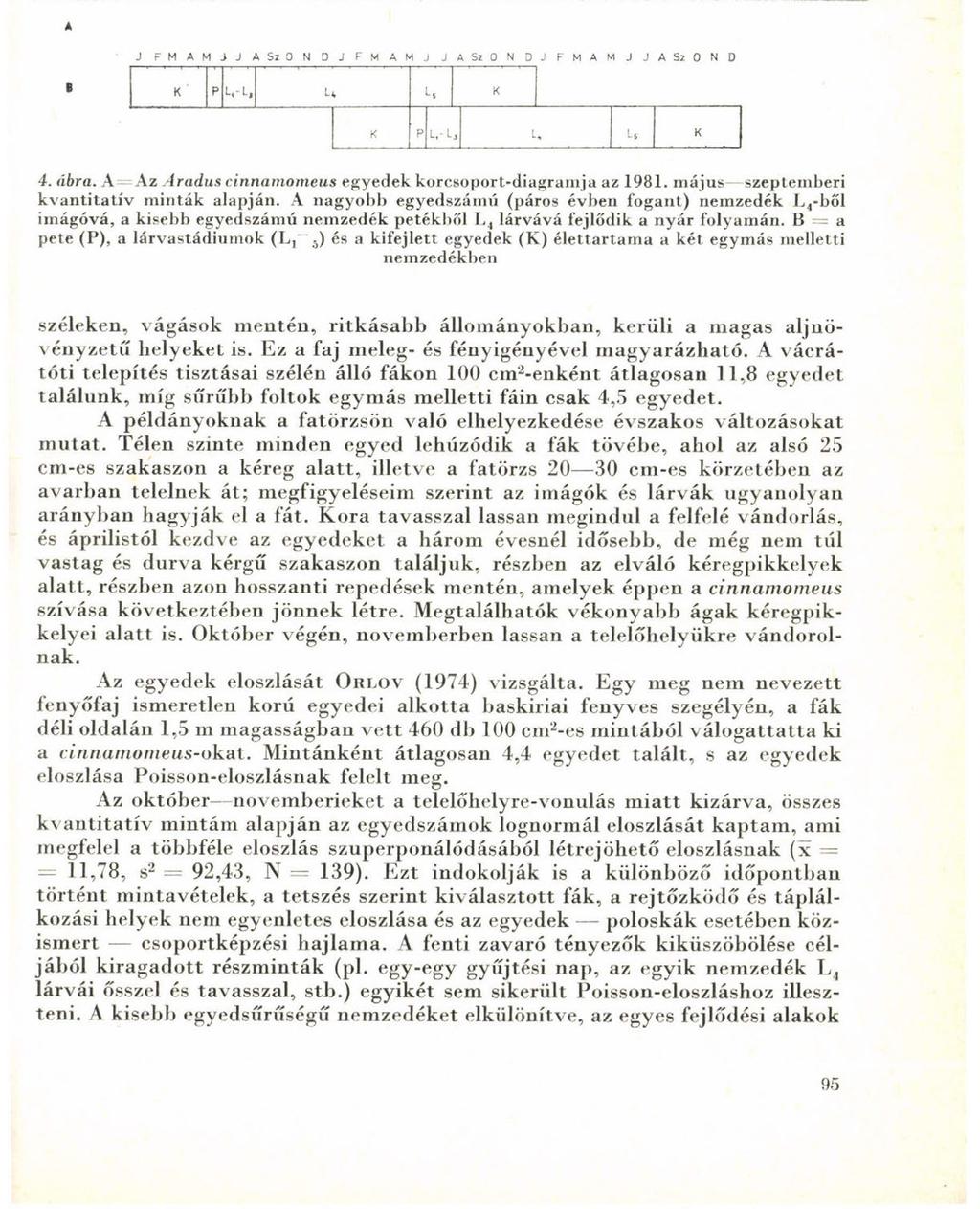 * J FMAMJJASLONDJFMAMJ JASION DJ FMAM J J A SL 0 N 0 K P U L. K K P L.-L, L, LS K 4. ábra. A Az Aradus cinnamomeus egyedek korcsoport-diagramja az 1981. május szeptemberi kvantitatív minták alapján.