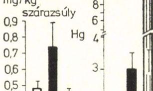 (1. hely) északi partközeli pontján ősszel.