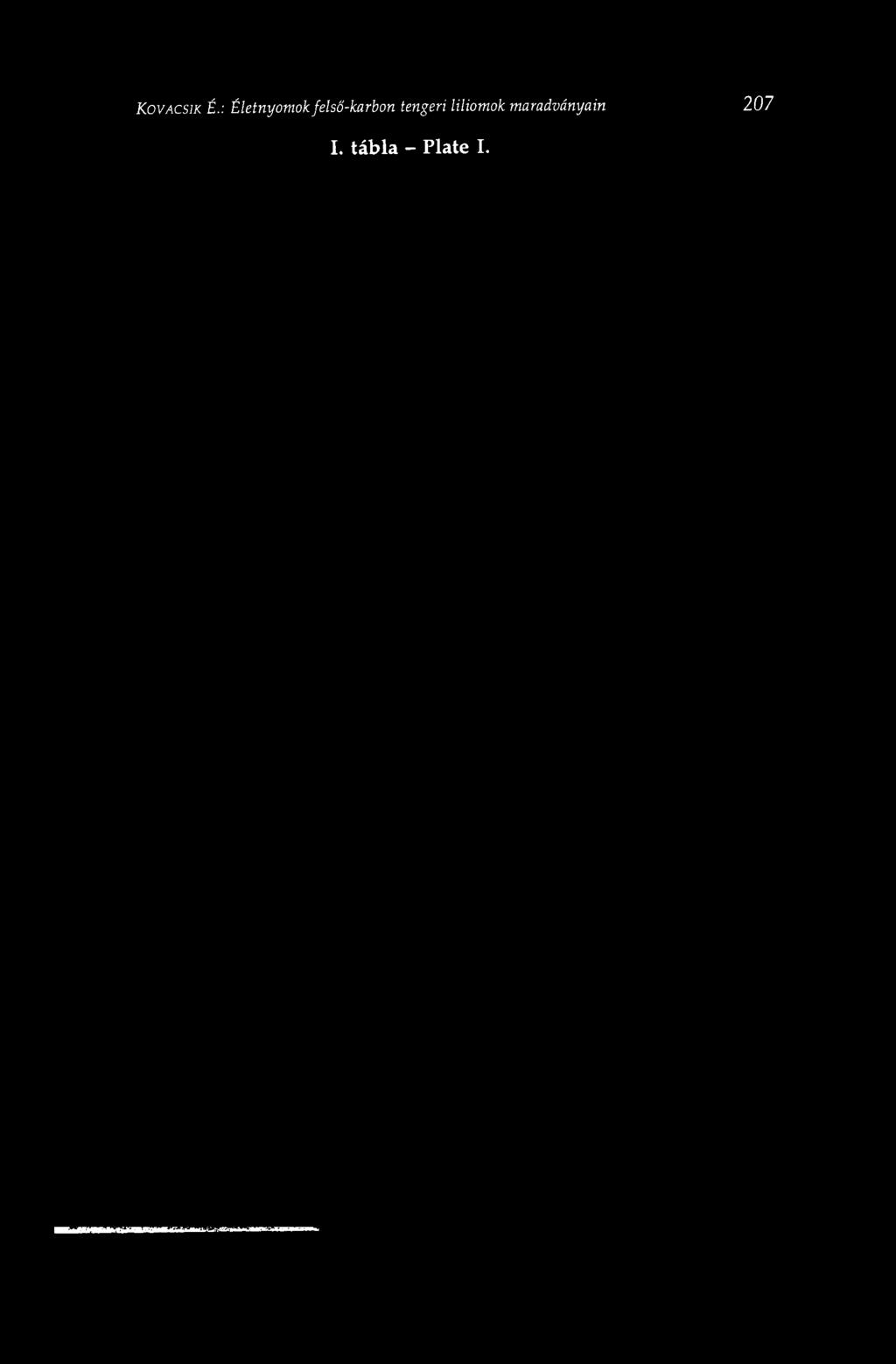 felső-karbon