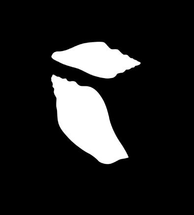 05. 24.