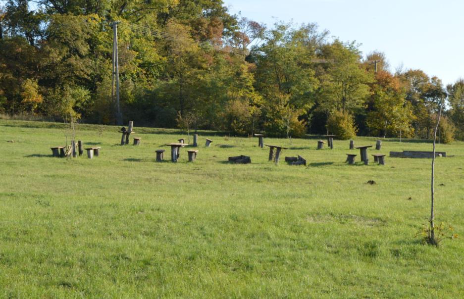 Jelentős zöldfelületi terület A település közparkjainak, sport pályáinak, kemping célú