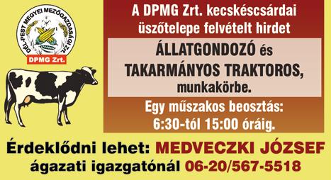 KÍNÁLUNK: Stabil nemzetközi háttér Határozatlan idejű munkaszerződés Változatos munka Cafetéria, céges buszjárat Budapestről