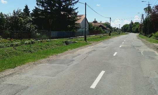 környezetükhöz.