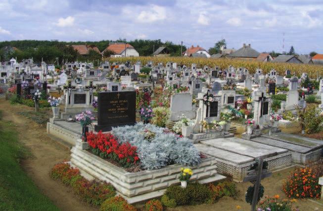 Megjelenésük fokozottan fontos, mivel ezeken a helyeken hosszabban tartózkodunk, ezért ezek a teresedések tervezését szakemberek végzik.