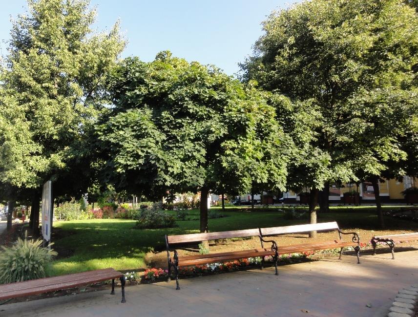 Újfehértó - TAK 13 Fő tér Emlékművek, Gesztenye fasor (Újfehértó, Főtér) A város vezetése a főtéren több emlékművet is emelt azon eseményeknek, melyek hazánk történelmében fontos szerepet játszottak.