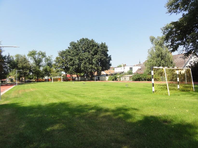 Az épület körül kialakított árnyas park, valamint a