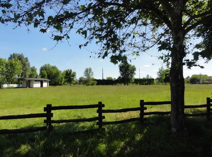Újfehértó - TAK 58 Közterek, közparkok, közkertek A közösségi szabad terek azok a találkozási pontok, ahol baráti, családi