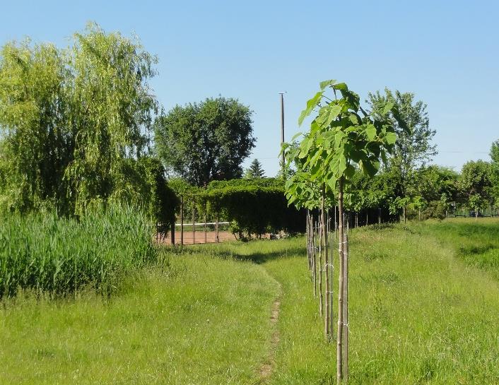 A mezővárosi településrész további kiemelkedő közparkjai a Középkori Sóút Emlékpark, a Debreceni út mentén kialakított 1848-as