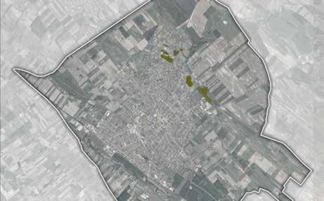 alaptípusa. A változatos állapotú és megjelenésű épületek ellenére a monori pincefalu egységes, rendezett arculattal rendelkezik.