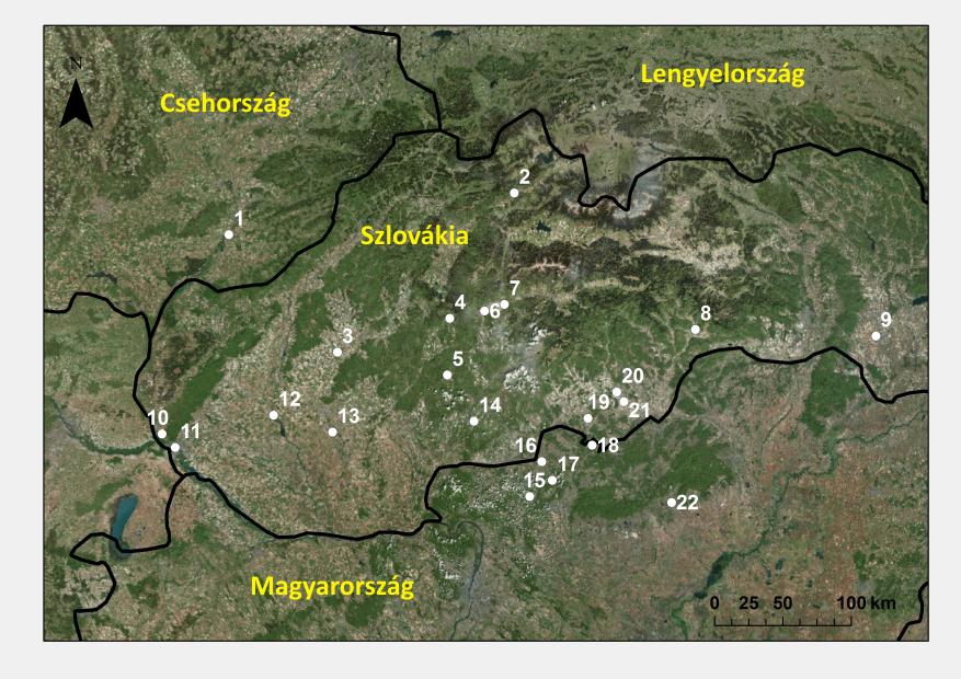 Archeometriai Műhely 2018/XV./1. 46 nyersanyagukat tekintve hasonlók.