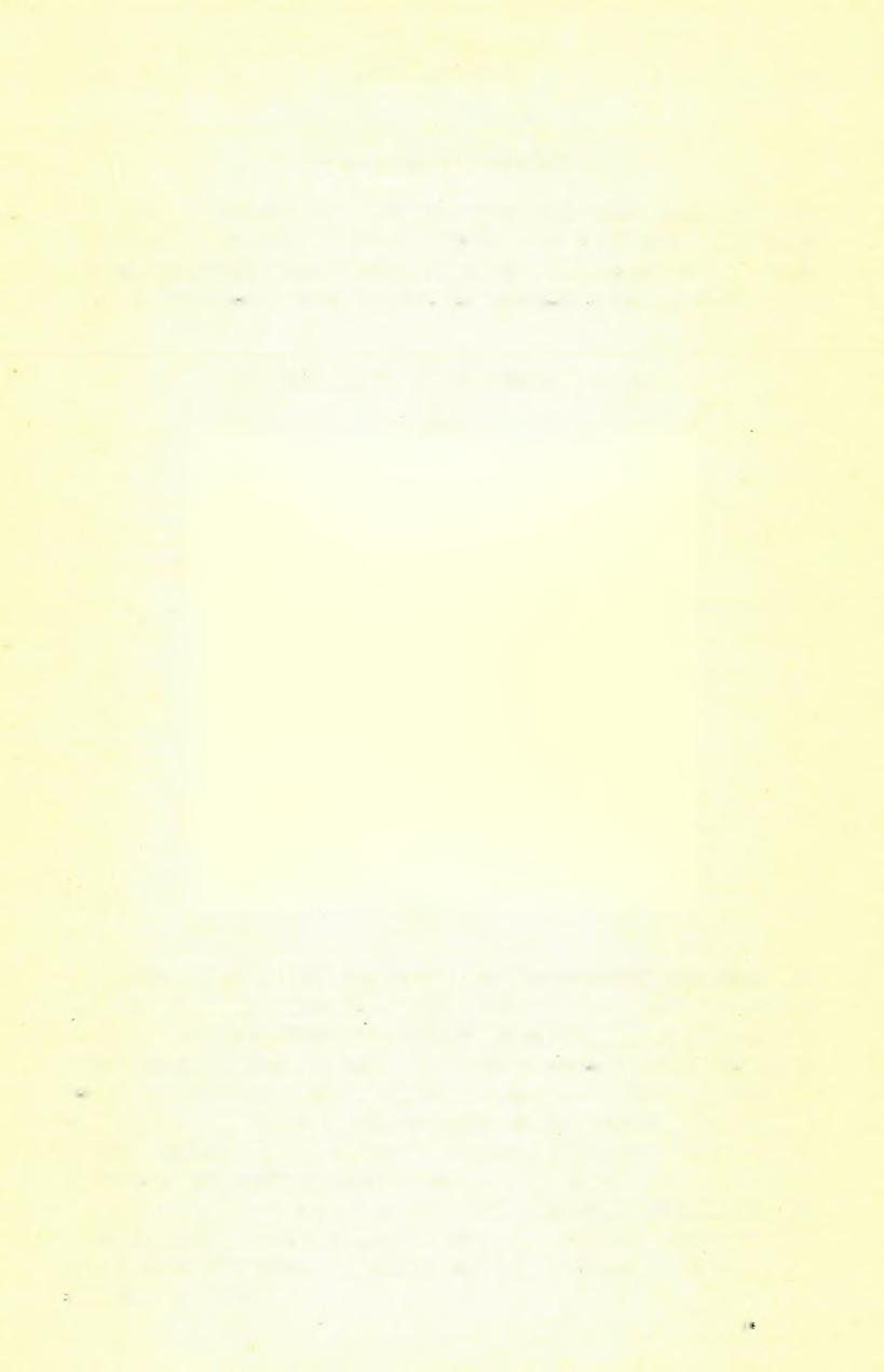 (11) F E L V É T E L I JE L E N T É S. 3 7 1 P aleontologiai Függelék.