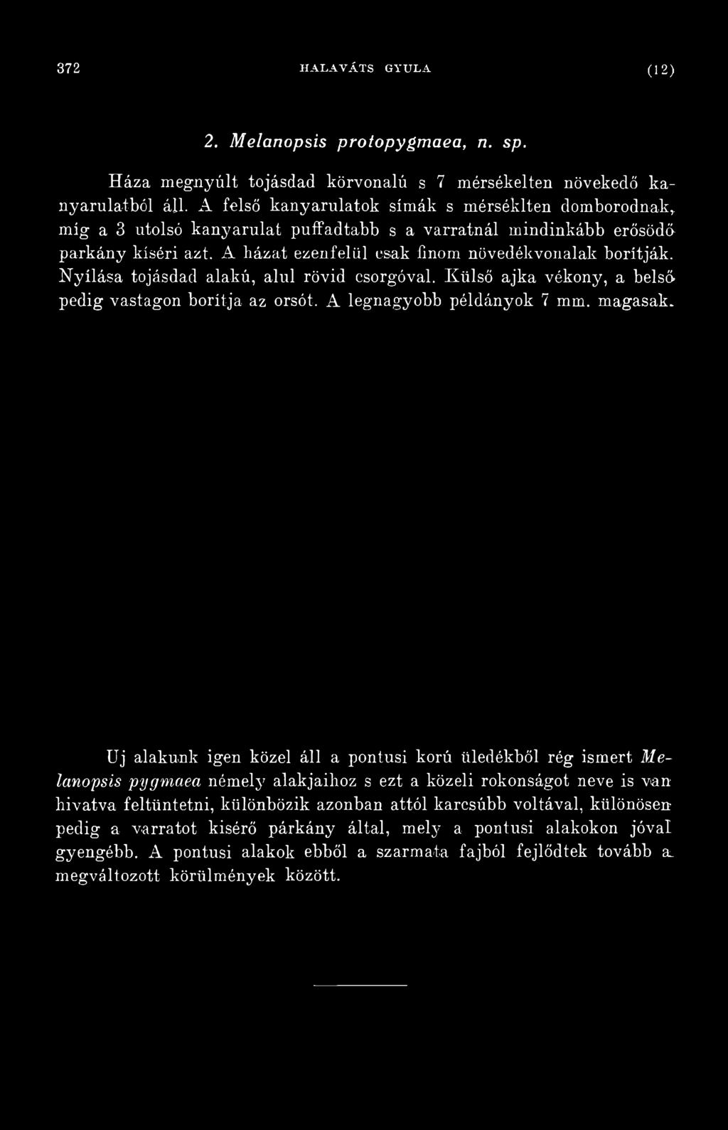 Nyílása tojásdad alakú, alul rövid csorgóval. Külső ajka vékony, a belső, pedig vastagon borítja az orsót.
