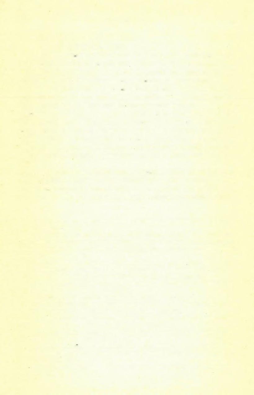 3 6 4 H A L A V Á T S GYU LA (4) Hydrobia Franenfeldi, M. H űen. Spirorbis heliciformis, E ichw. K och A.