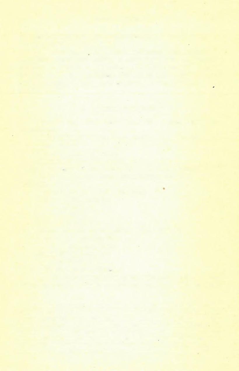 (5) F E L V É T E L I JE L E N T É S. 3Ö 5 homokok közé telepedett egyik márgás rétegből a Laurus swossoiviciana, Ung. egy levelét gyűjtöttem csak.