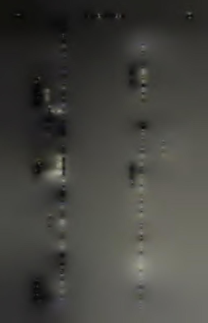 Y U L A (6