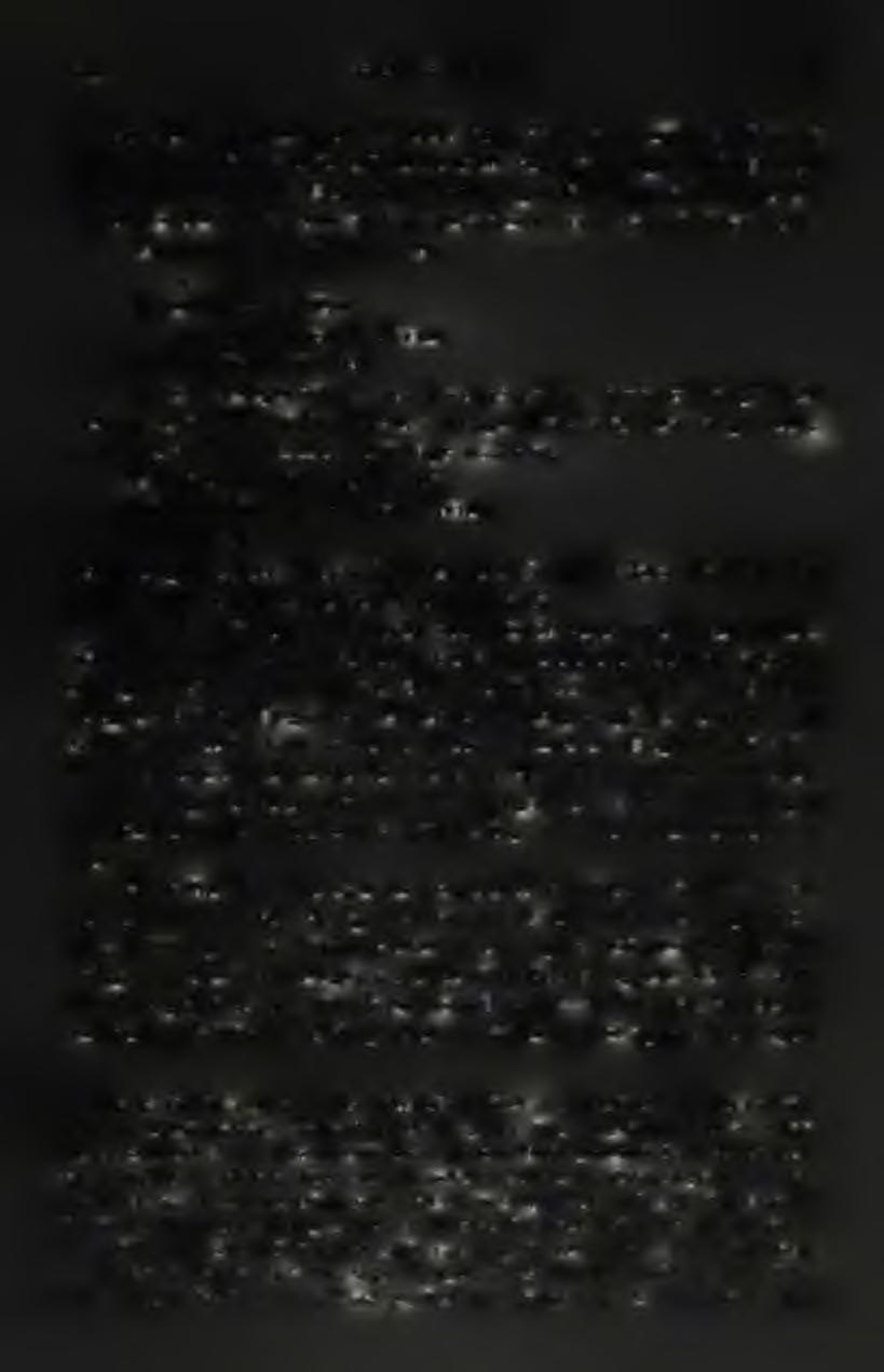 ,, virulóbonerisis, F ttchs. Melanopsis Bonéi, F éb.